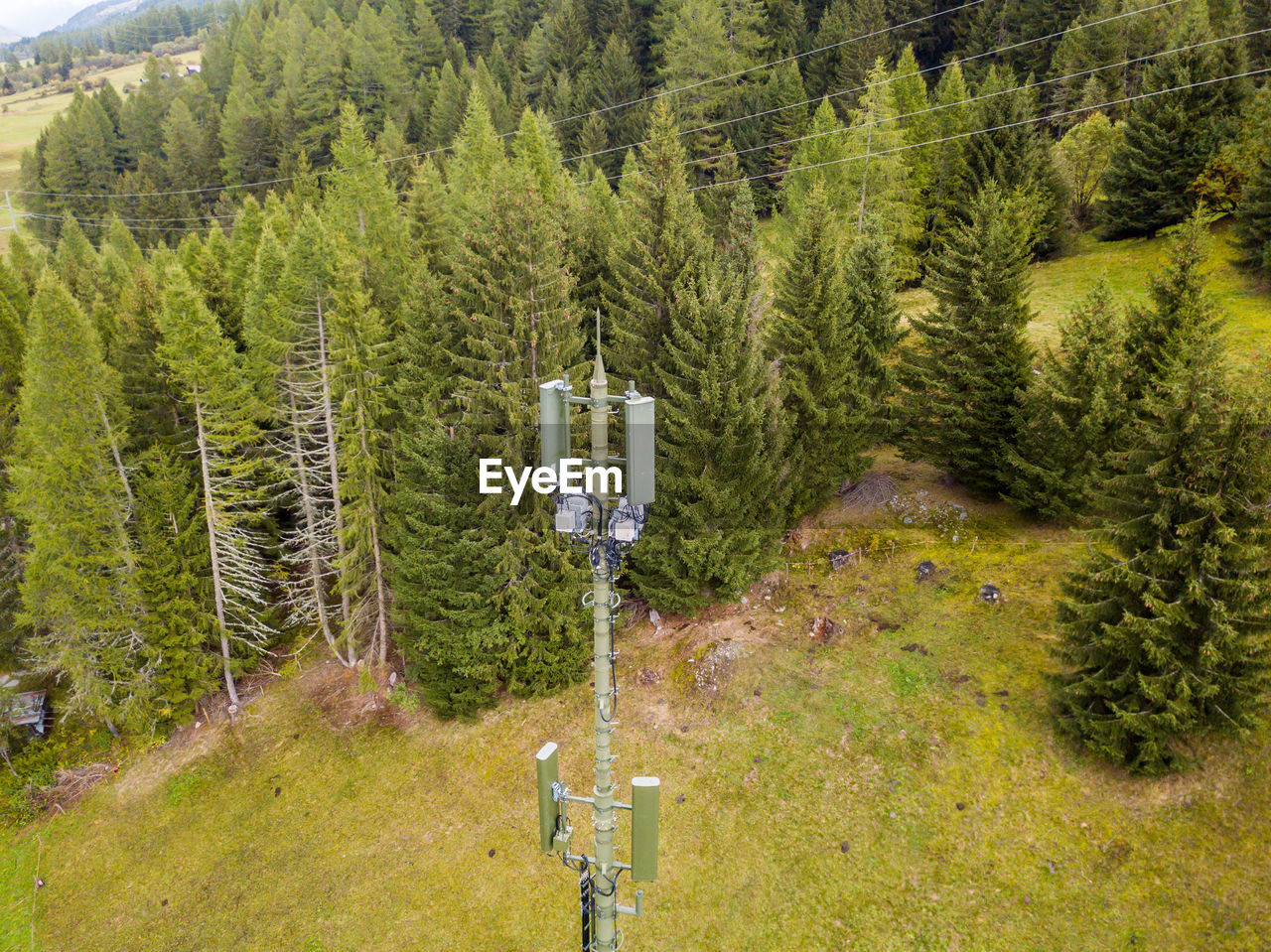 High angle view of trees on field