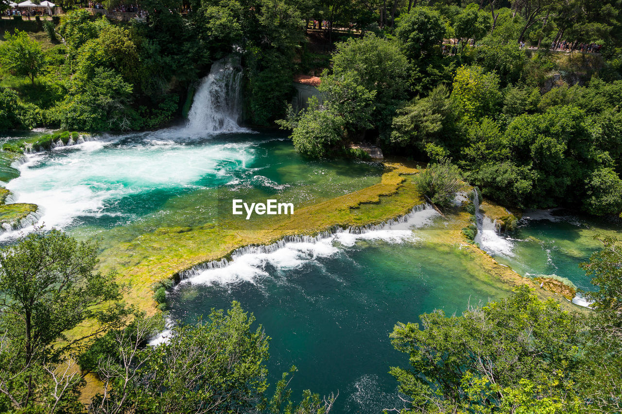 Scenic view of waterfall in forest