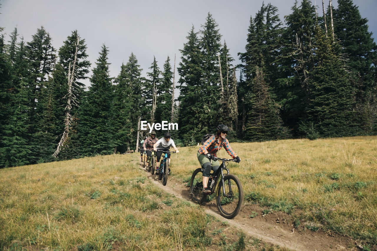 Four bikers ride through a meadow at mt. hood, oregon