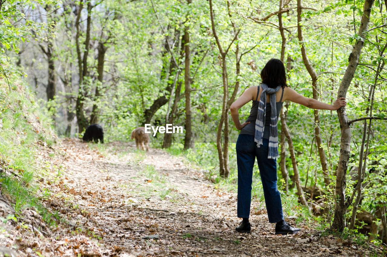 Rear view of woman leaning against tree stem in forest