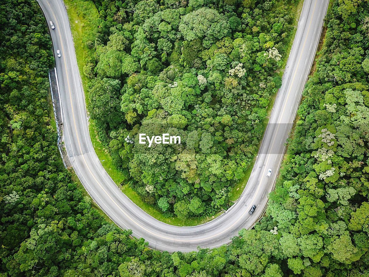 HIGH ANGLE VIEW OF TREES AND PLANTS GROWING ON LAND