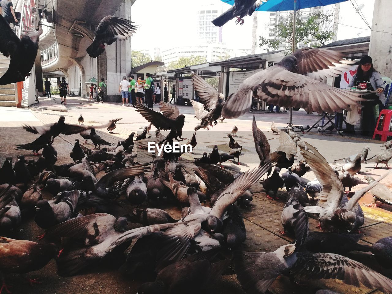 GROUP OF PEOPLE AT TOWN SQUARE