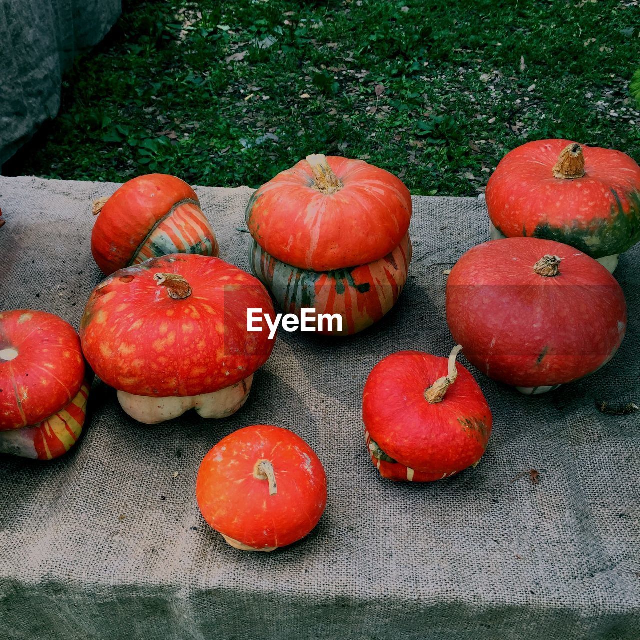 CLOSE-UP OF RED FRUIT ON TABLE