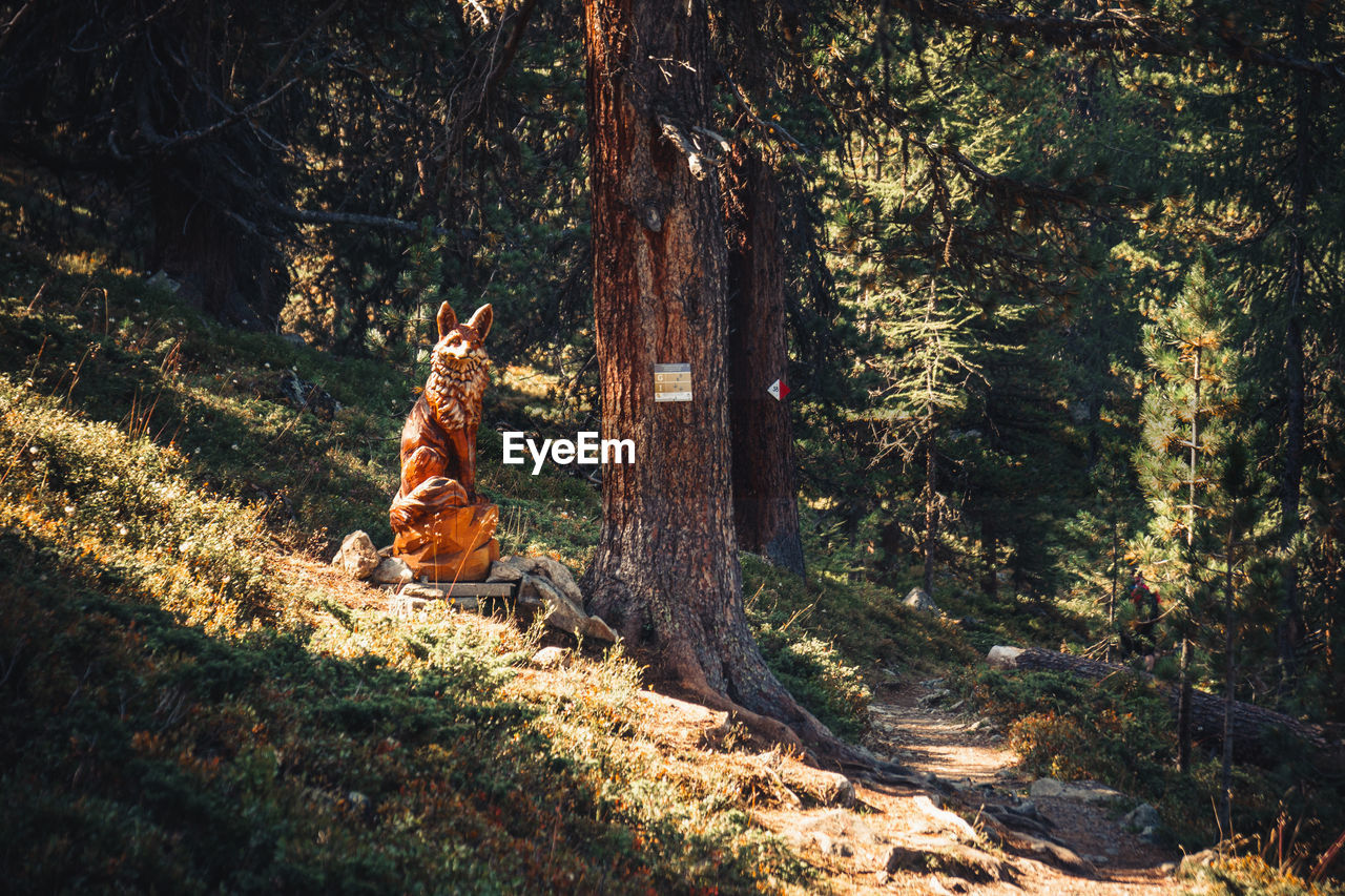 View of wooden sculpture standing amidst trees in forest 