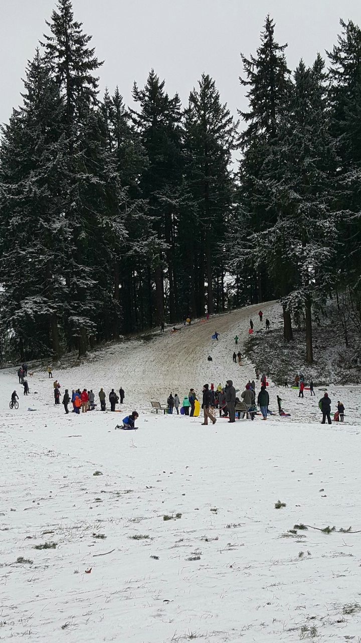 People on snow covered field