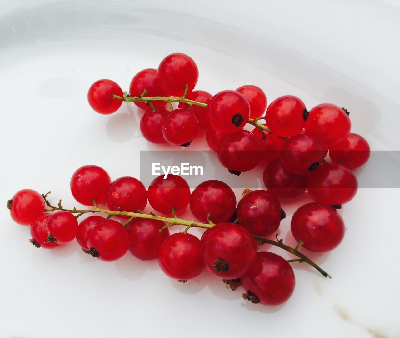 Close-up of red currants served in plate
