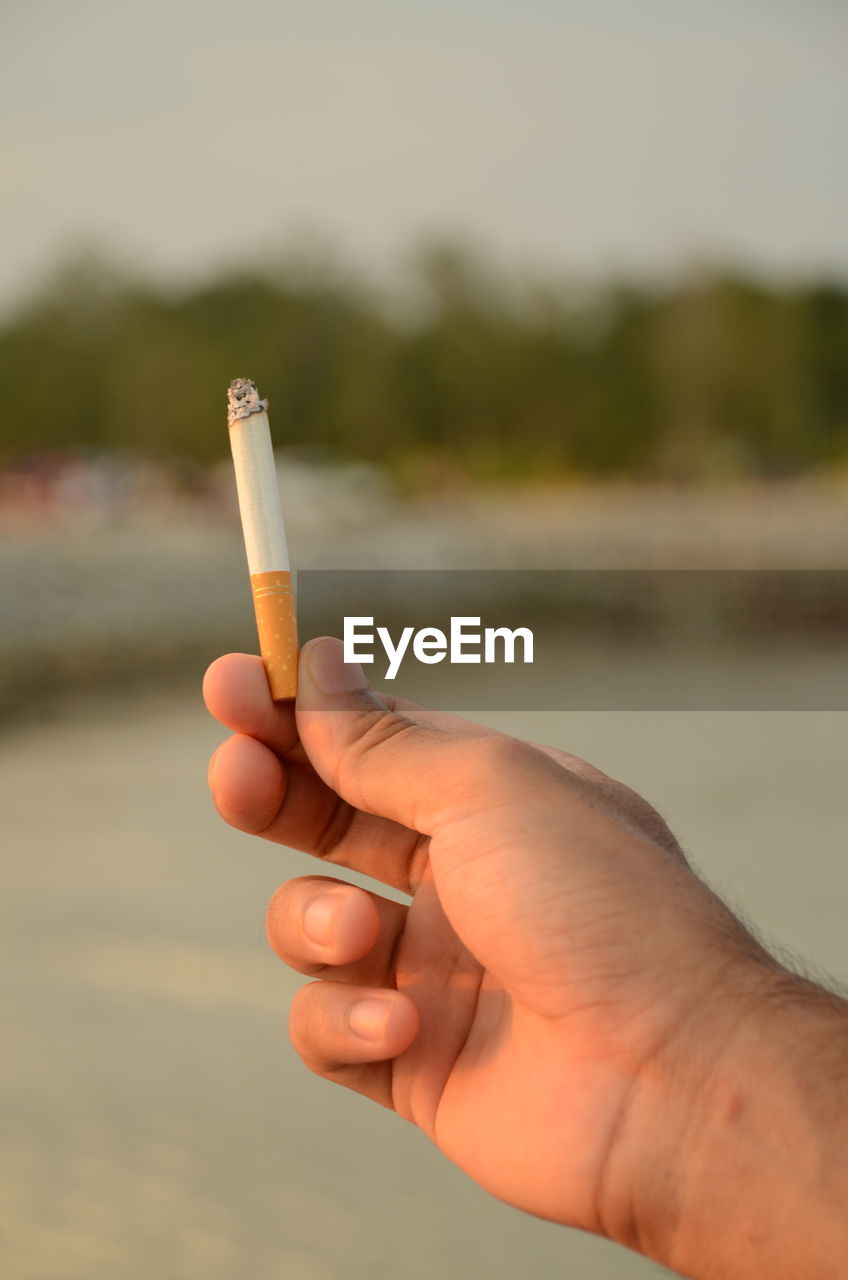 Cropped hand of man holding cigarette