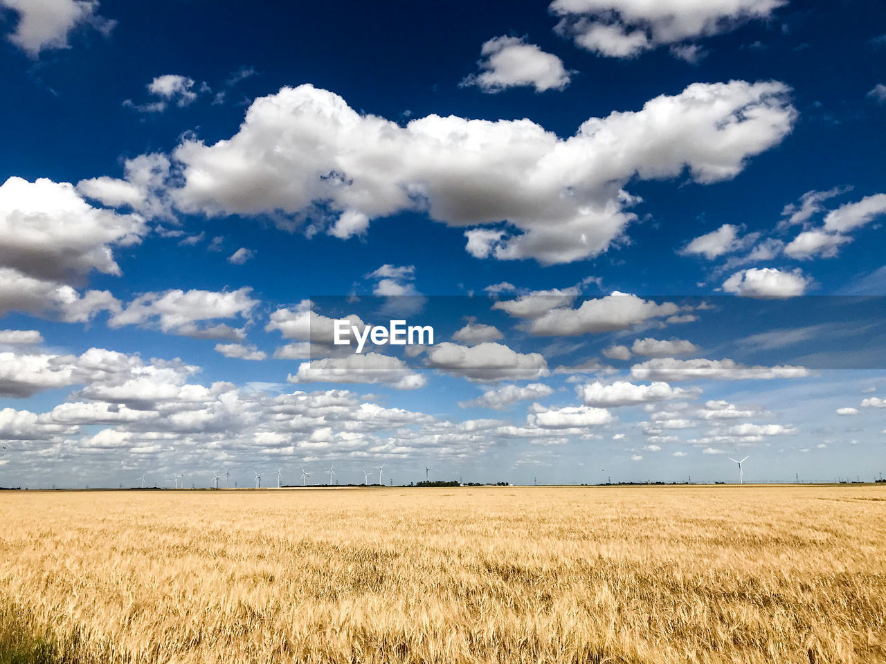 SCENIC VIEW OF FARM AGAINST SKY