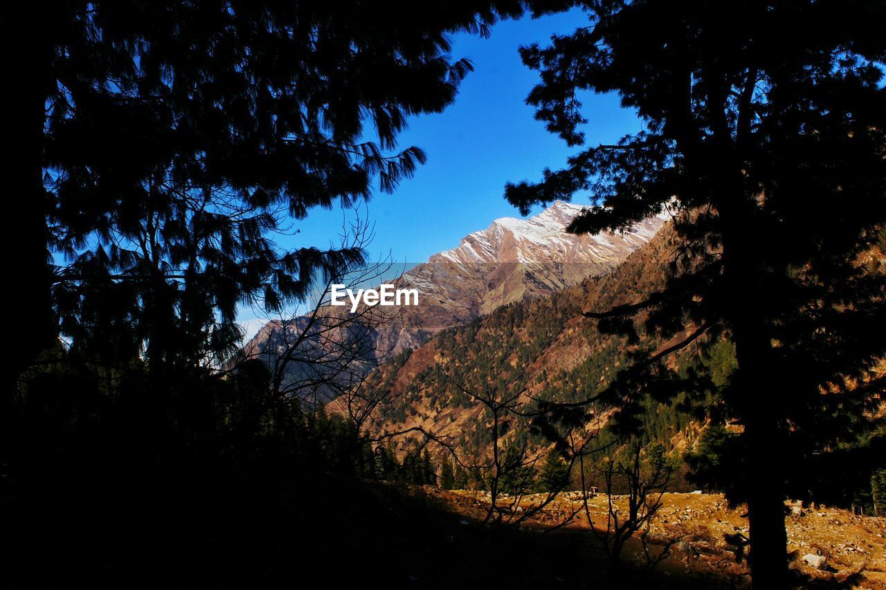 SCENIC VIEW OF TREE MOUNTAINS AGAINST SKY