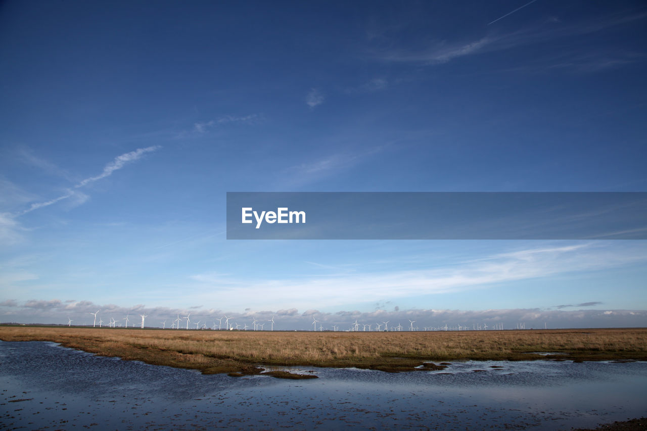 Scenic view of field against blue sky