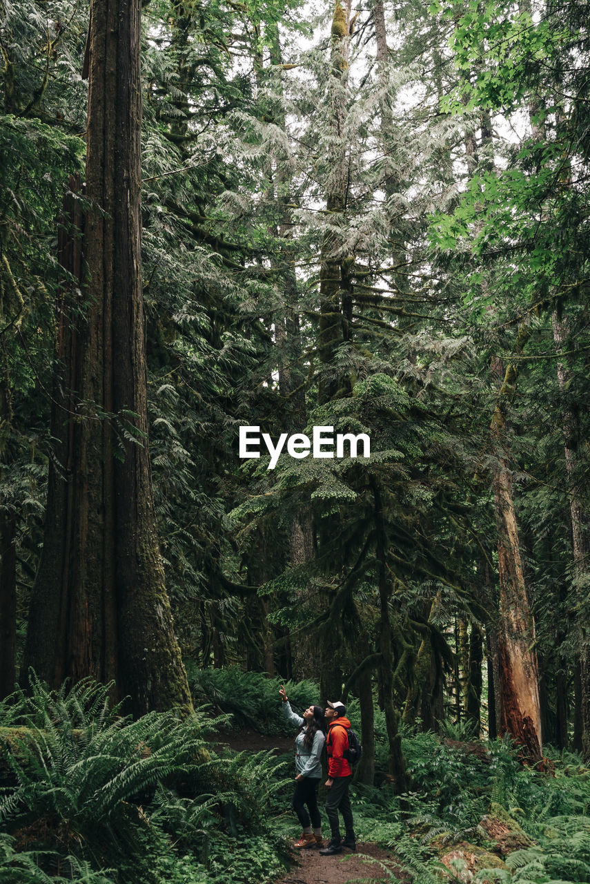 A young couple enjoys a hike on a trail in the pacific northwest.