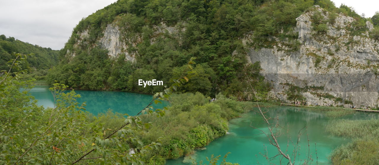 SCENIC VIEW OF LAKE AMIDST TREES AGAINST SKY