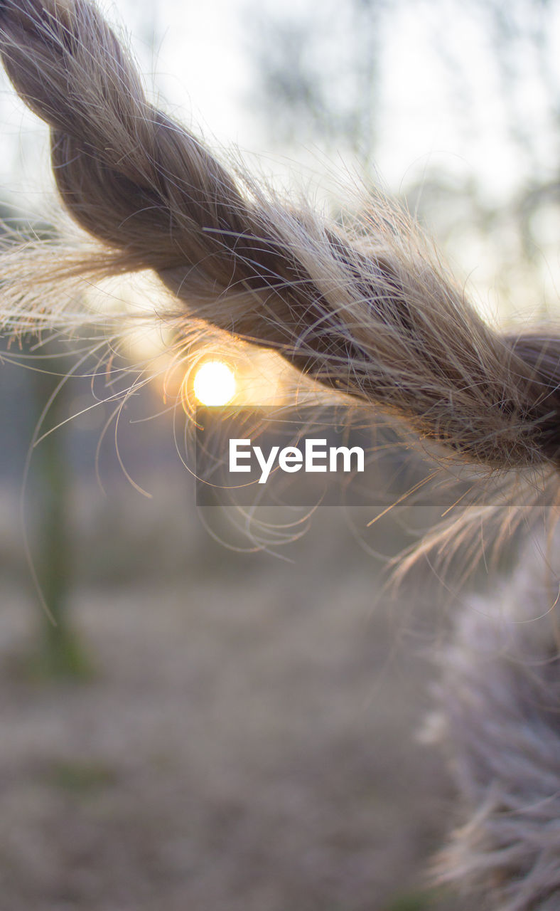 Close-up of human hair against sky