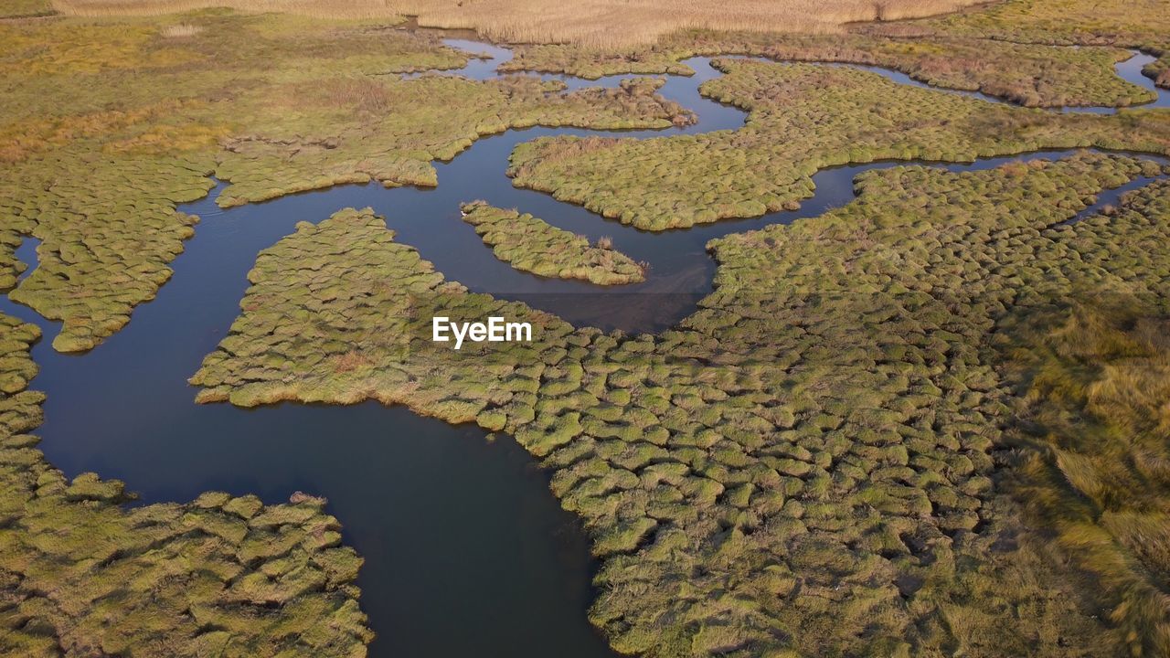 High angle view of agricultural landscape