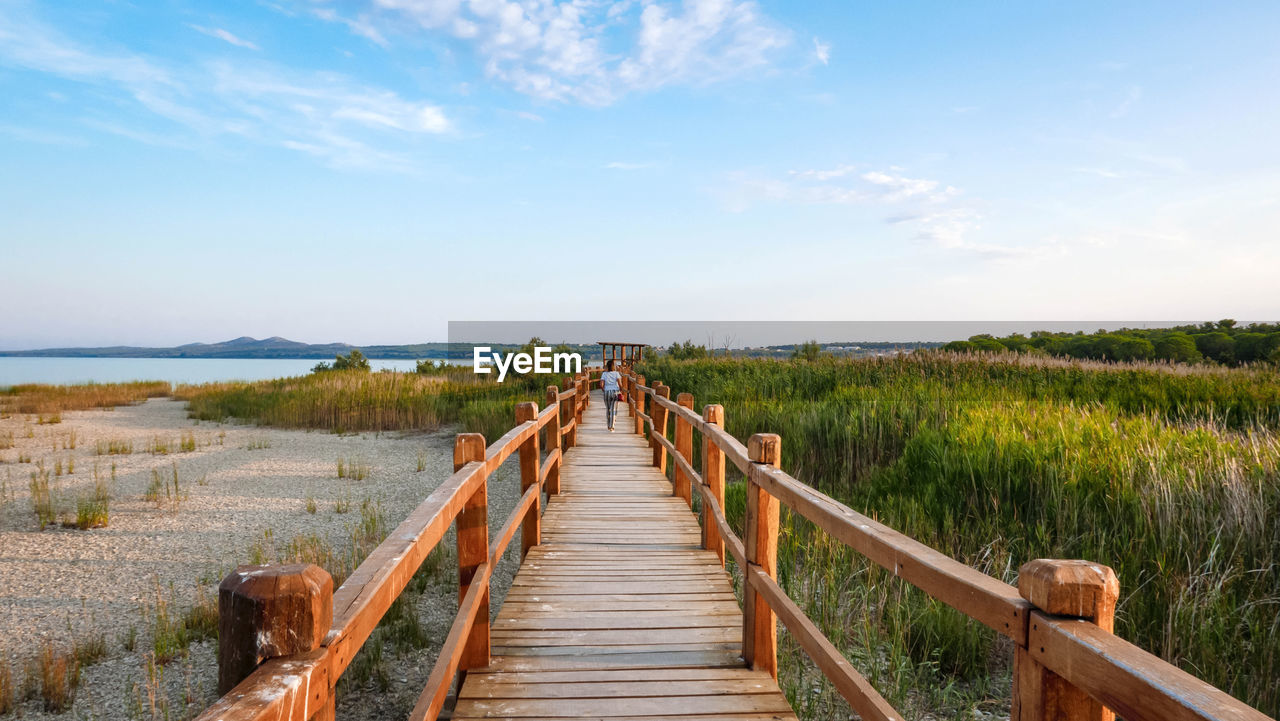 Young woman on wooden pathway in nature park. spring, summer, tourism, travel.