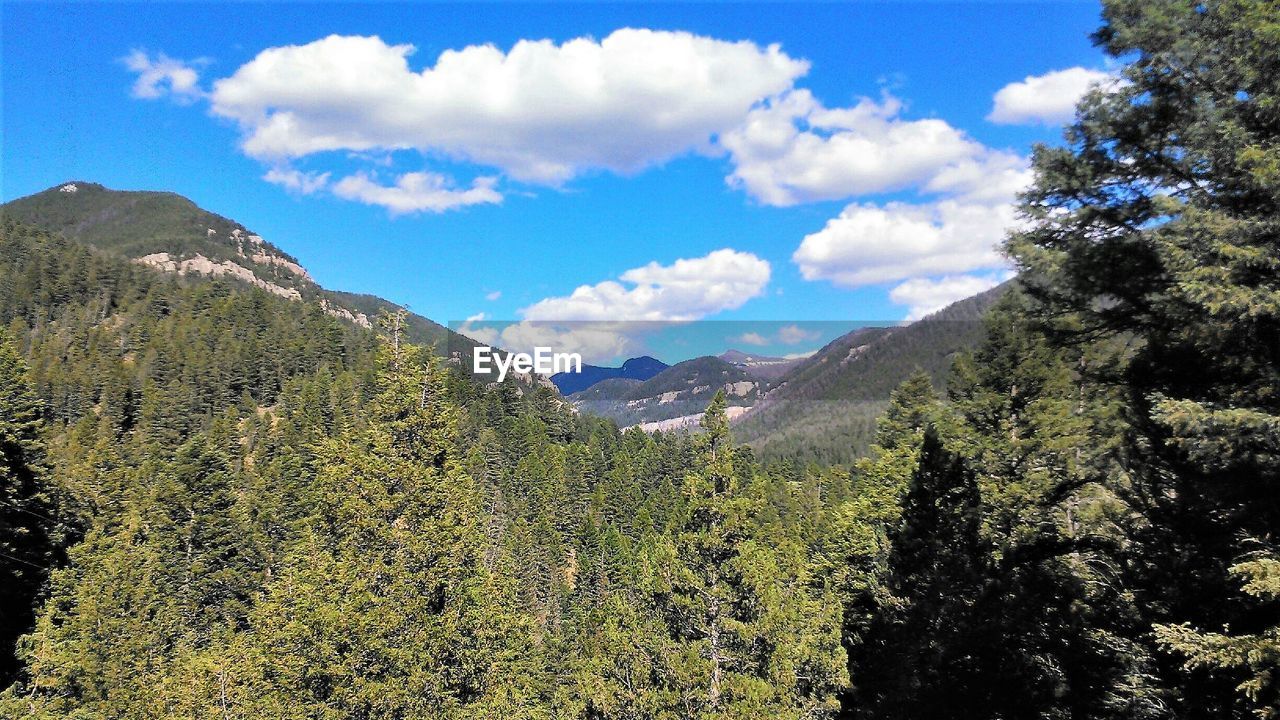 SCENIC VIEW OF MOUNTAIN AGAINST SKY