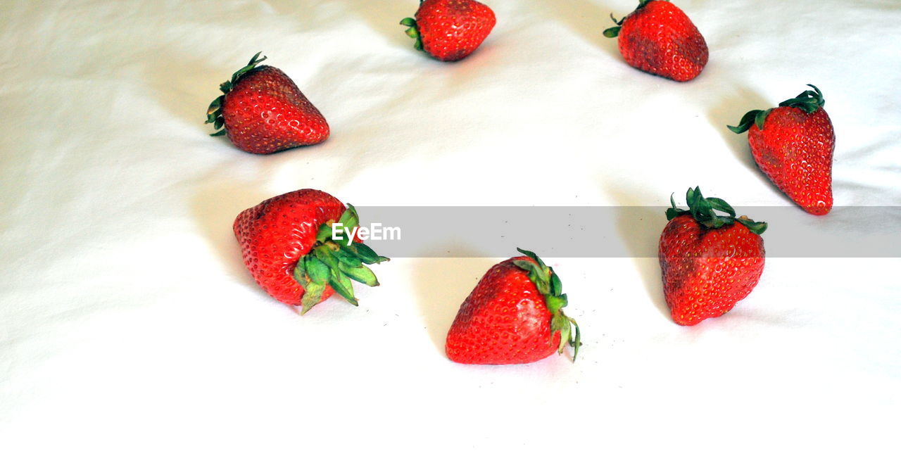 HIGH ANGLE VIEW OF STRAWBERRIES ON WHITE BACKGROUND