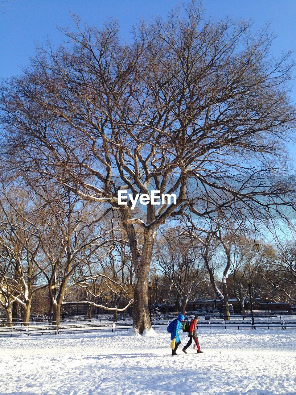 People walking by bare trees on snow covered field