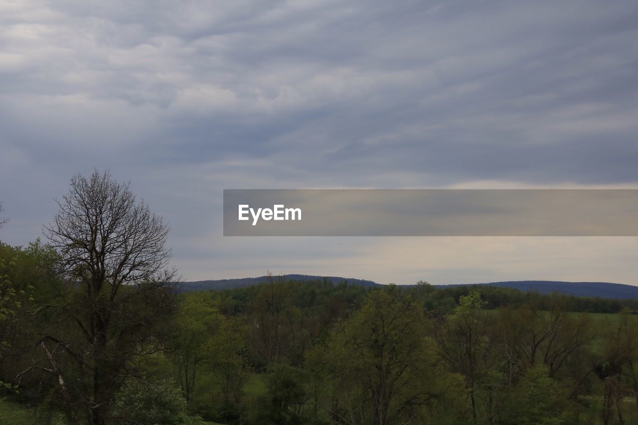 TREES ON LANDSCAPE AGAINST CLOUDY SKY