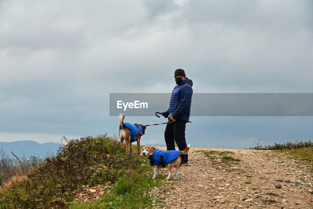 Man in protective mask, walking with two dogs wearing blue coats on a rainy winter day duringcovi 19