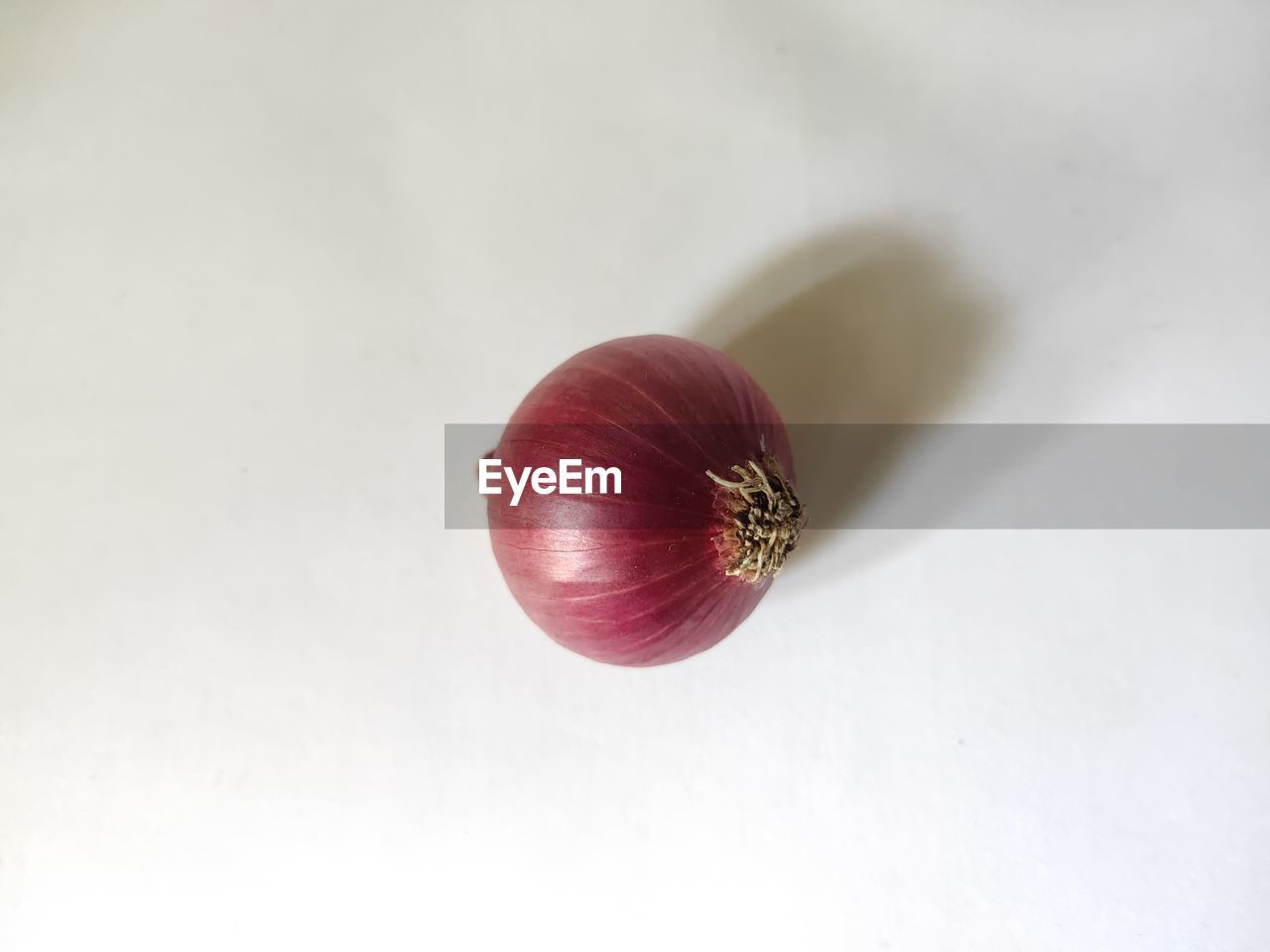 High angle view of onion on white background
