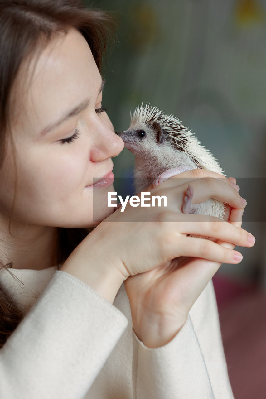 Girl holds cute hedgehog in her hands. portrait of pretty curious muzzle of animal. favorite pets. 