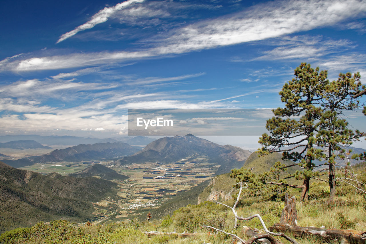 mountain, landscape, scenics - nature, environment, sky, beauty in nature, nature, wilderness, plant, mountain range, cloud, land, tree, tranquility, tranquil scene, travel destinations, non-urban scene, travel, ridge, no people, pinaceae, coniferous tree, day, outdoors, forest, pine tree, tourism, valley, meadow, blue, sunlight, idyllic, remote, adventure, mountain peak, rural scene, pine woodland, grass, plateau