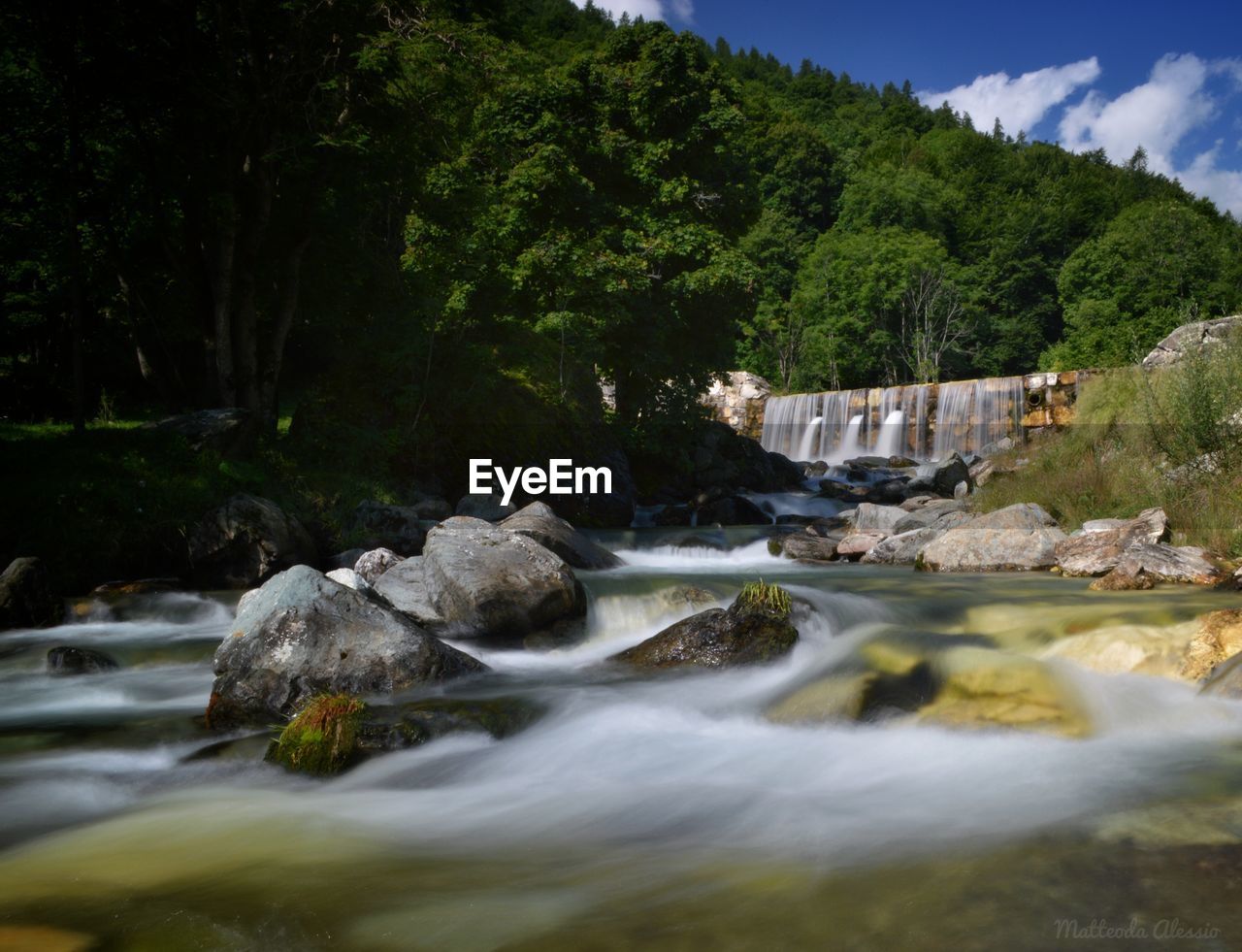 RIVER FLOWING IN FOREST