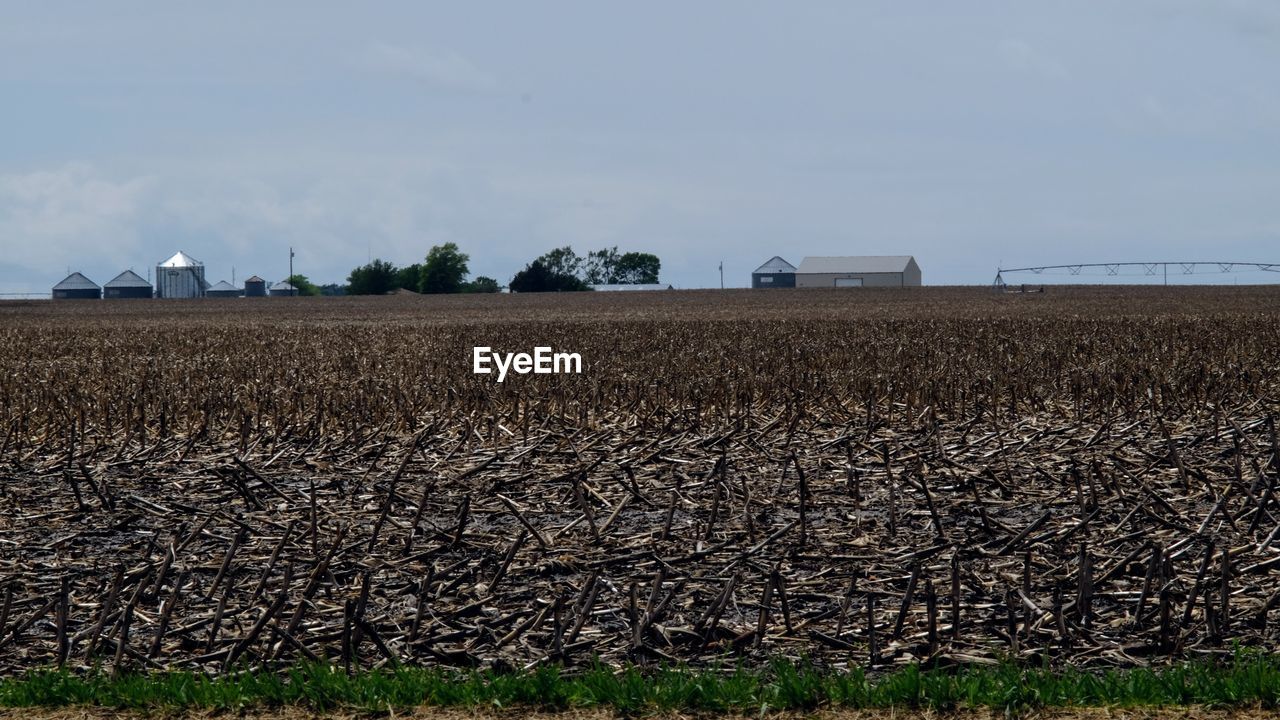 Scenic view of farm against sky