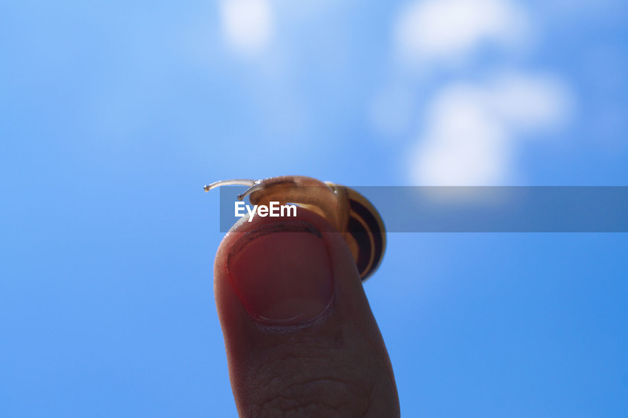 Close-up of snail on thumb against sky