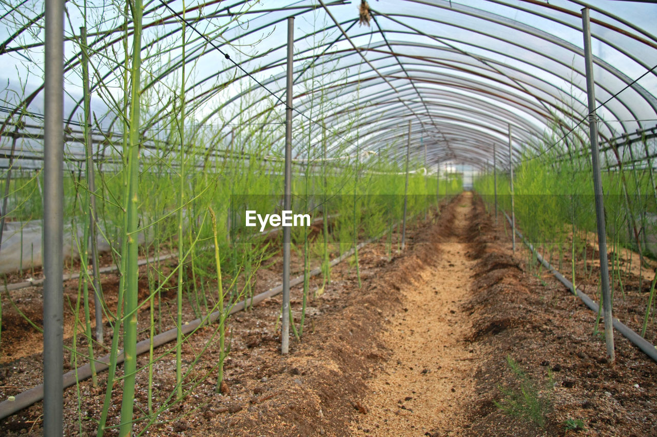 SCENIC VIEW OF FARM