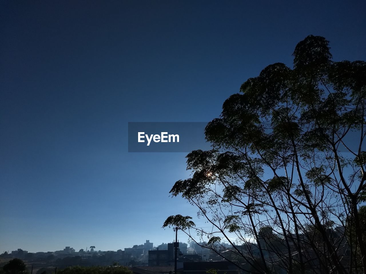 LOW ANGLE VIEW OF SILHOUETTE TREE AGAINST BLUE SKY