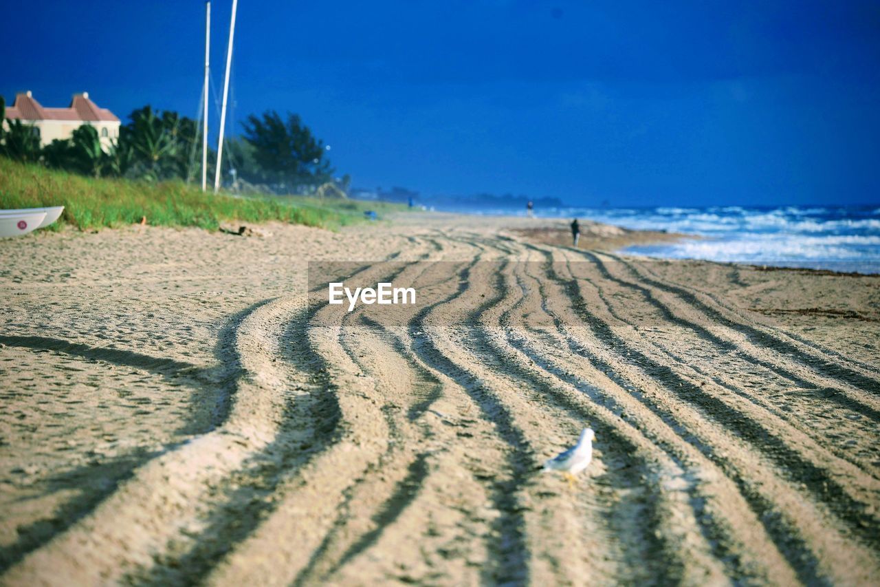 Scenic view of beach against clear blue sky