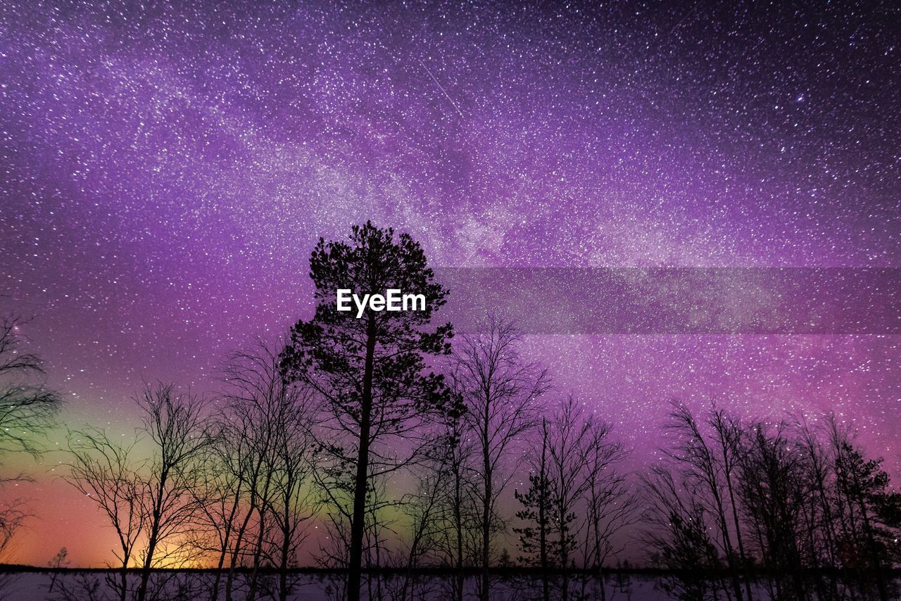 Low angle view of silhouette trees against sky at night