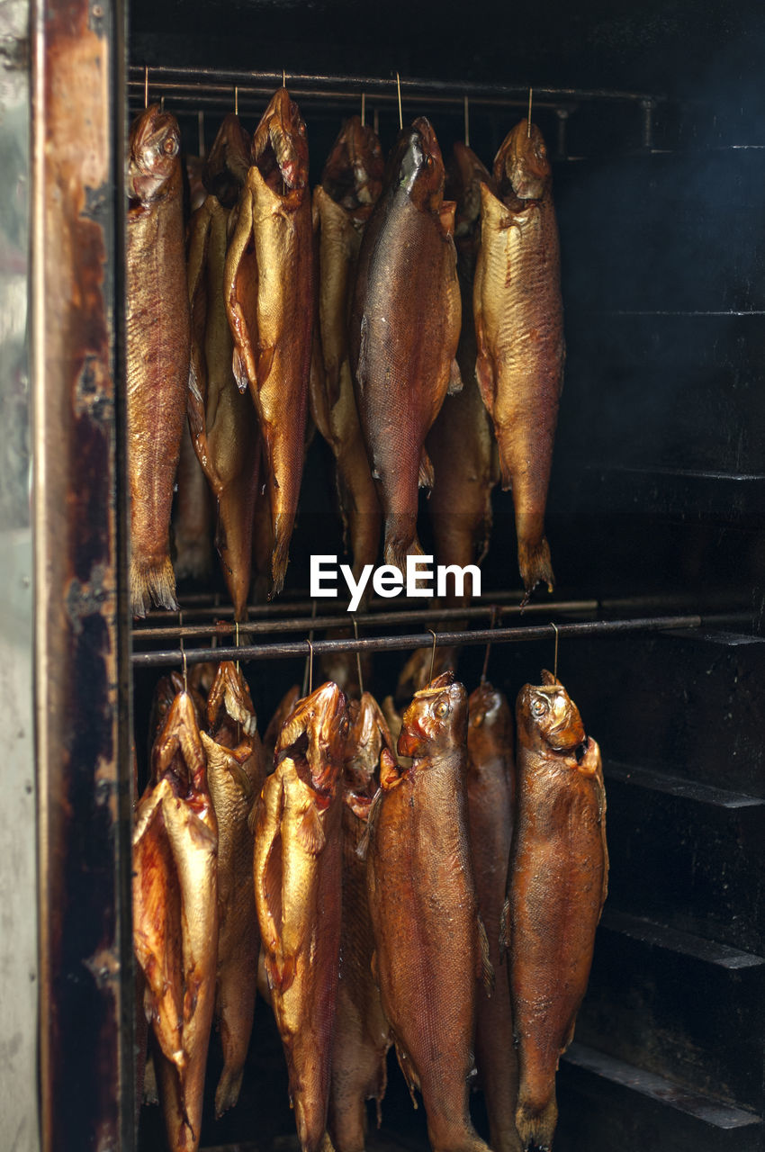 VIEW OF FISH FOR SALE