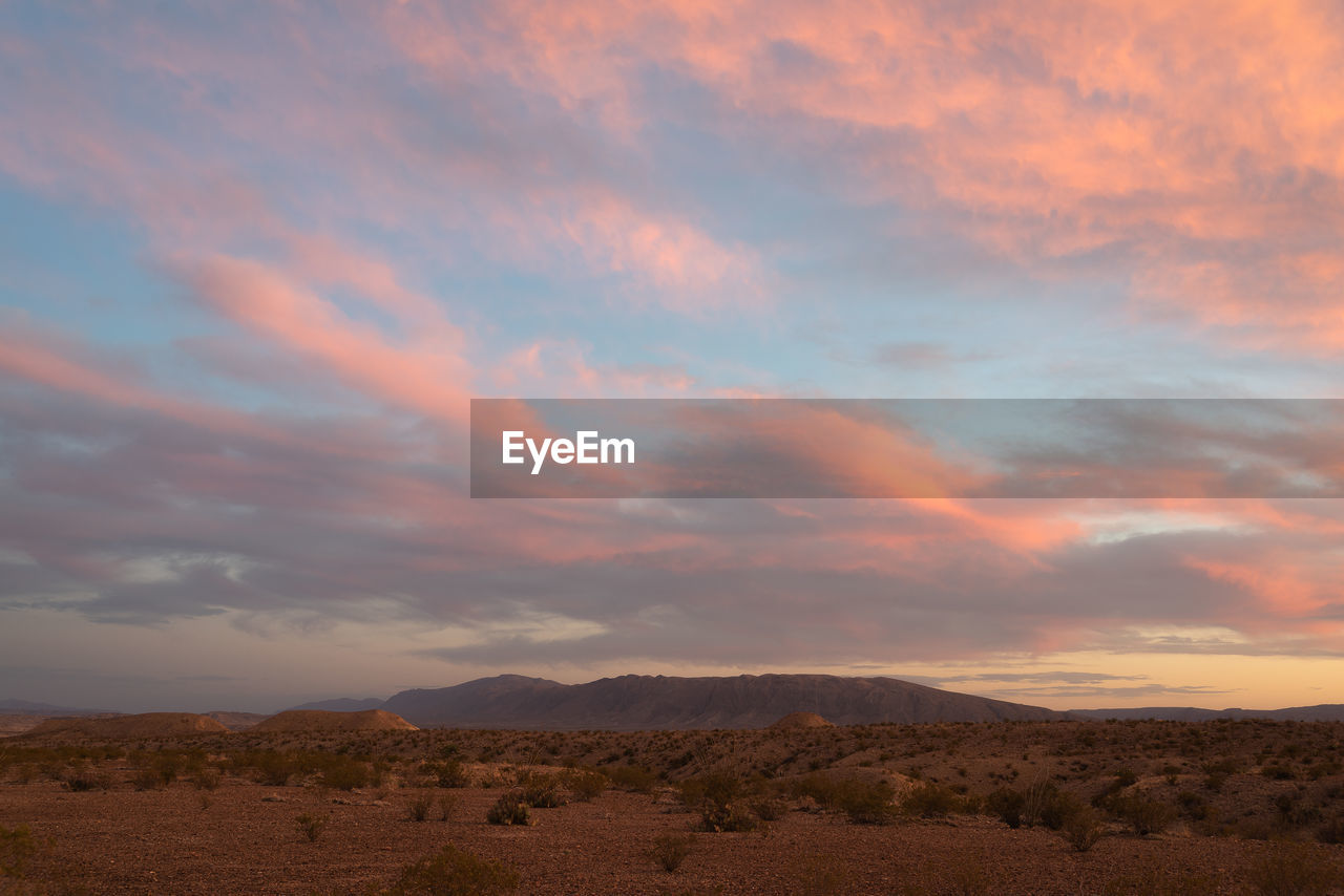 Scenic mountain and desert view of sunset in big bend national park, texas