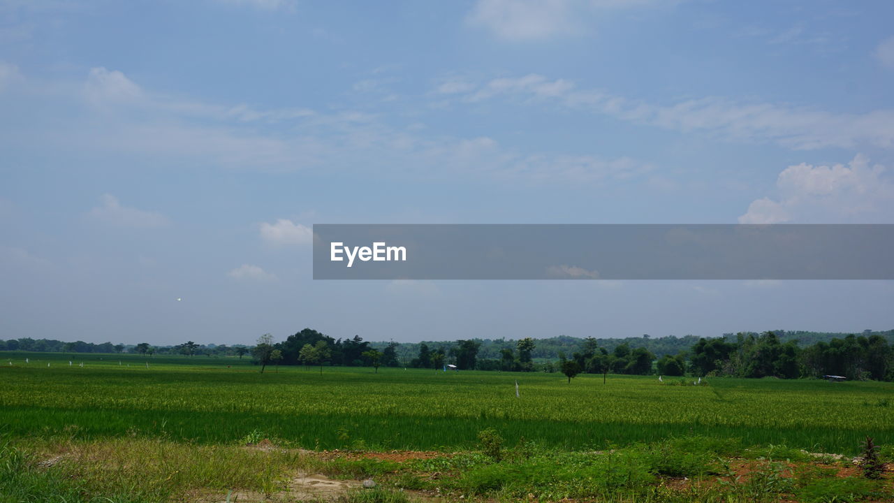 SCENIC VIEW OF AGRICULTURAL LANDSCAPE AGAINST SKY