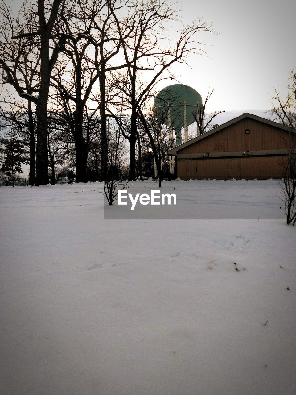 BARE TREES ON SNOW COVERED HOUSES AGAINST SKY