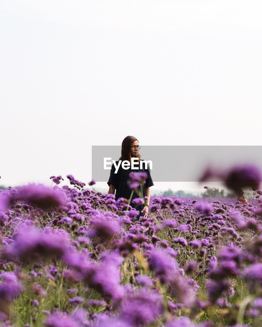 Woman standing on field by purple flowers against clear sky