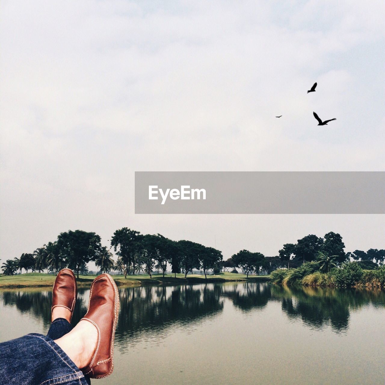 Low section view of man relaxing at lakeshore