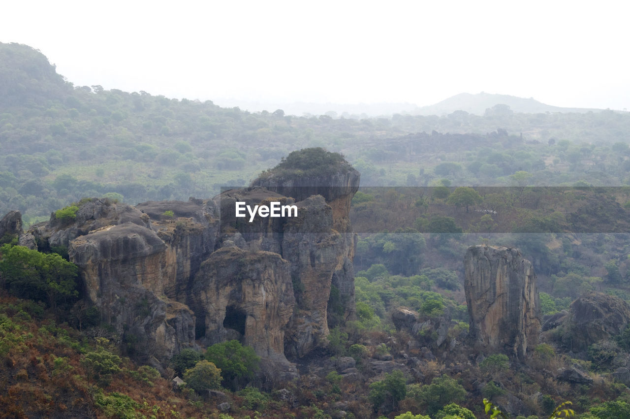 SCENIC VIEW OF TREES ON MOUNTAIN AGAINST SKY