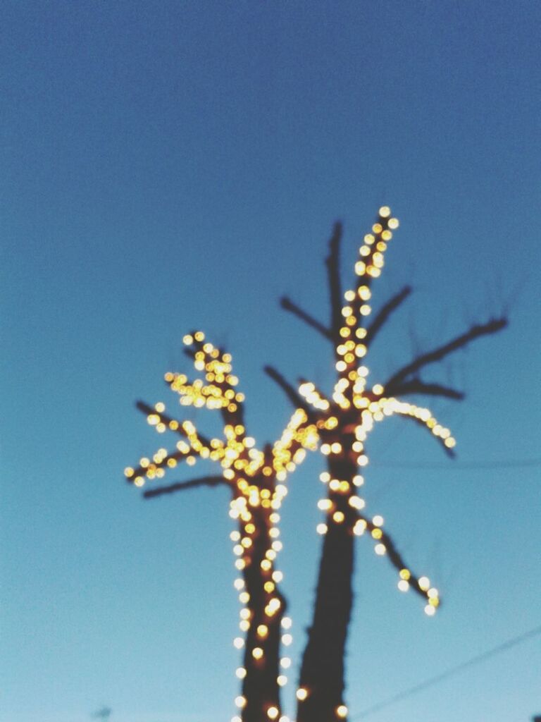 Illuminated bare trees against blue sky