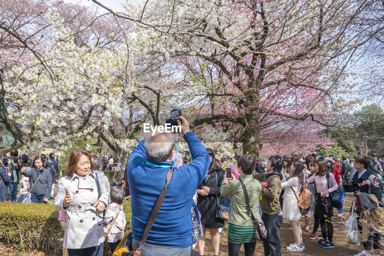 GROUP OF PEOPLE STANDING ON TREE