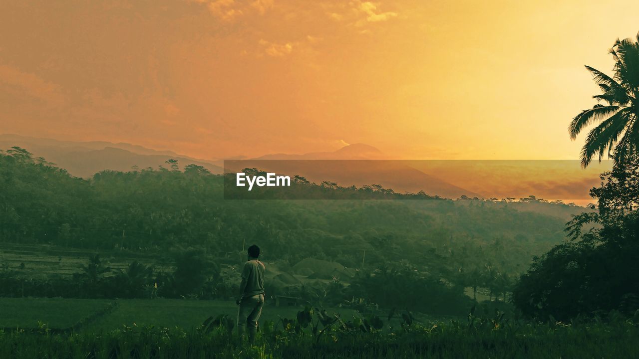 REAR VIEW OF MAN STANDING ON FIELD AGAINST SUNSET SKY