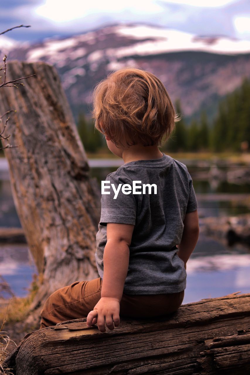 Rear view of boy sitting on log