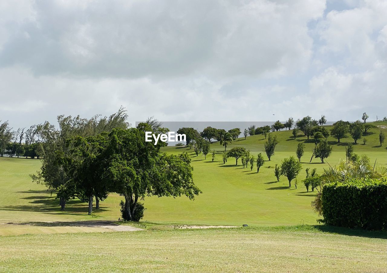 SCENIC VIEW OF GOLF COURSE AGAINST SKY