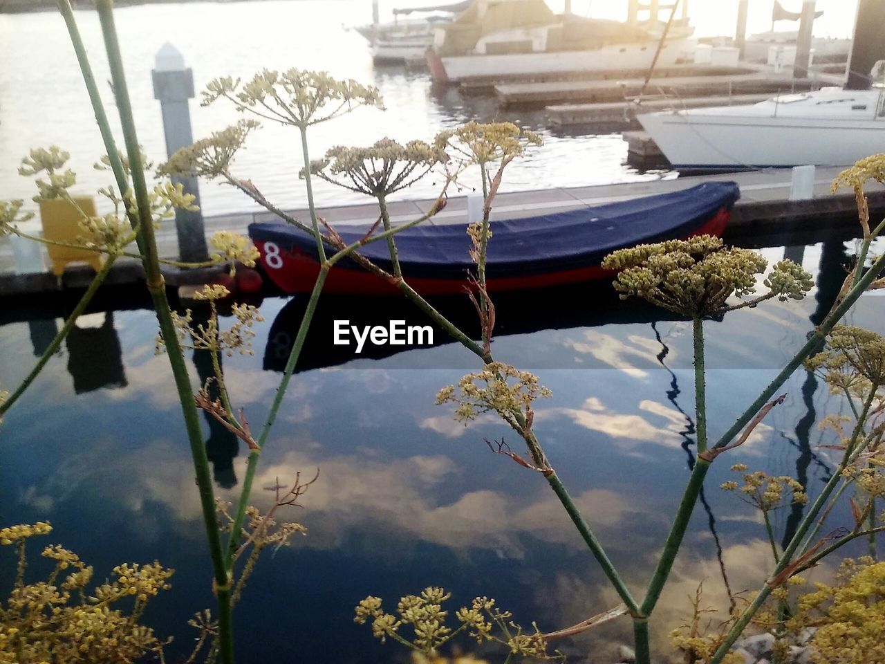 VIEW OF BOATS IN HARBOR