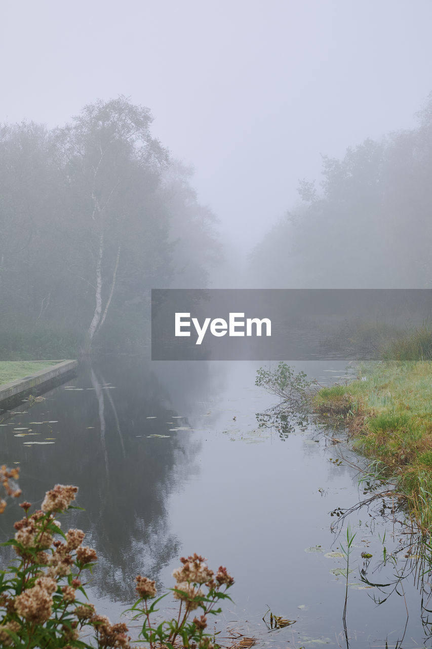 fog, mist, water, plant, tree, environment, morning, nature, beauty in nature, scenics - nature, landscape, tranquility, no people, land, forest, river, tranquil scene, non-urban scene, outdoors, sky, day, travel, travel destinations, social issues, tourism, reflection, body of water