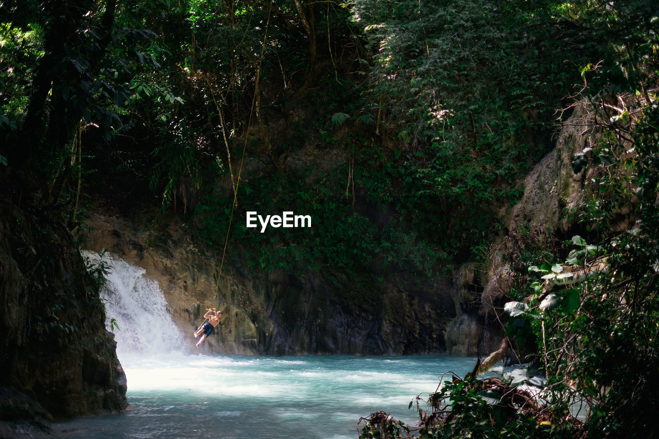 Man swinging over waterfall in forest