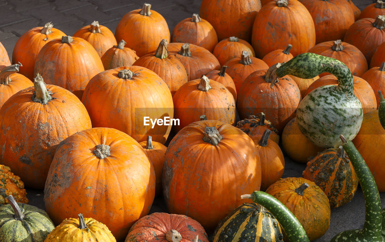 HIGH ANGLE VIEW OF PUMPKINS FOR SALE IN MARKET